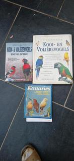 Kooi en volière vogels, Ophalen, Gelezen, Dieren