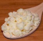 'Melkkefir-korrels (‘plantje’), uitstekende kwaliteit', Ophalen of Verzenden