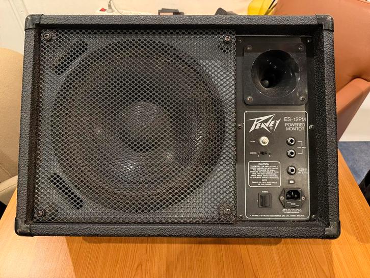 Peavey ES 12PM Actieve Monitor, Audio, Tv en Foto, Luidsprekers, Gebruikt, Ophalen