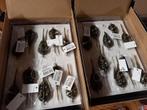 2694x Voerkorven (Feeders) 81 Displaydozen...HANDELSPARTIJ, Watersport en Boten, Tinstraat, Overige typen, Nieuw, Ophalen of Verzenden
