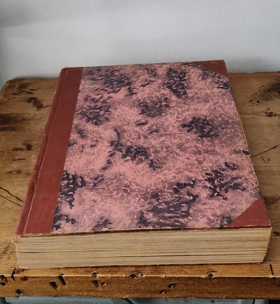 Panorama – Jaargang 1953 (Januari t/m Juni) – Gebonden band, Verzamelen, Tijdschriften, Kranten en Knipsels, Ophalen of Verzenden