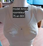 Prothese bh's, Ophalen of Verzenden, Grijs, BH