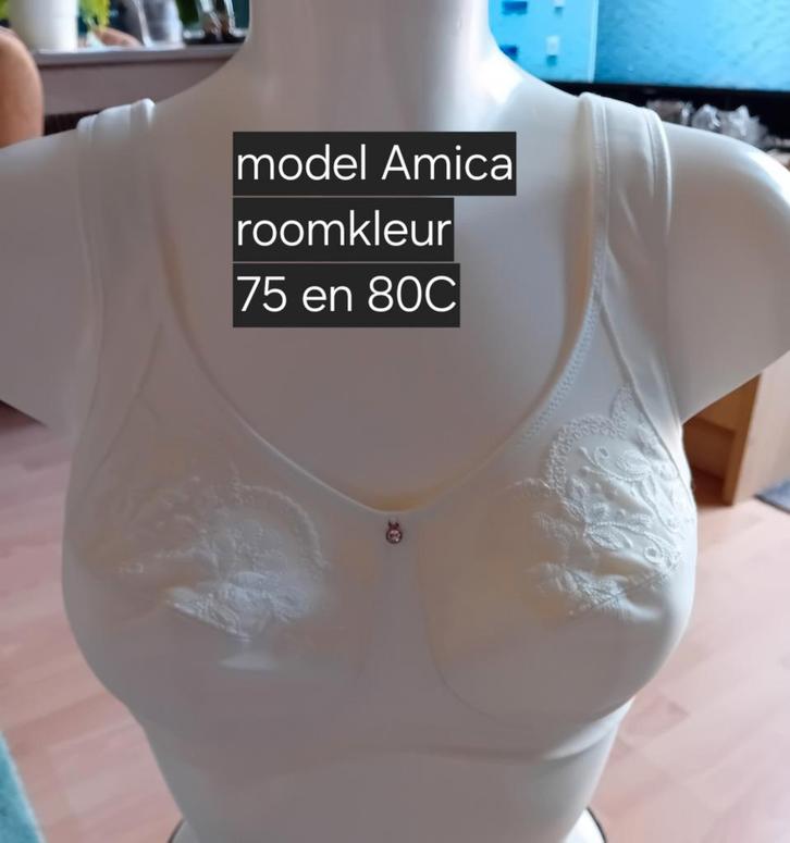 Prothese bh's, Kleding | Dames, Ondergoed en Lingerie, BH, Grijs, Ophalen of Verzenden