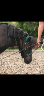 Kaptoom biothane Shetlander/pony, Dieren en Toebehoren, Paarden en Pony's | Hoofdstellen en Tuigage, Ophalen of Verzenden, Gebruikt