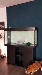 Aquarium 120CM inclusief meubel pomp verwarming en toebehore, Ophalen, Gebruikt, Leeg aquarium