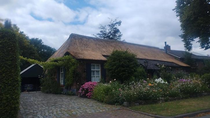 Tuin en moestuin onderhoud aangeboden. In overleg, Tuin en Terras, Overige Tuin en Terras, Zo goed als nieuw, Ophalen of Verzenden