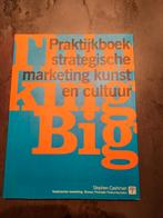 S. Cashman - Thinking Big, Boeken, Economie, Management en Marketing, S. Cashman, Ophalen of Verzenden, Zo goed als nieuw