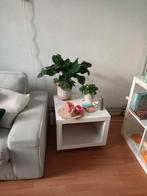 Salontafel op wieltjes, gratis af te halen., Leiden