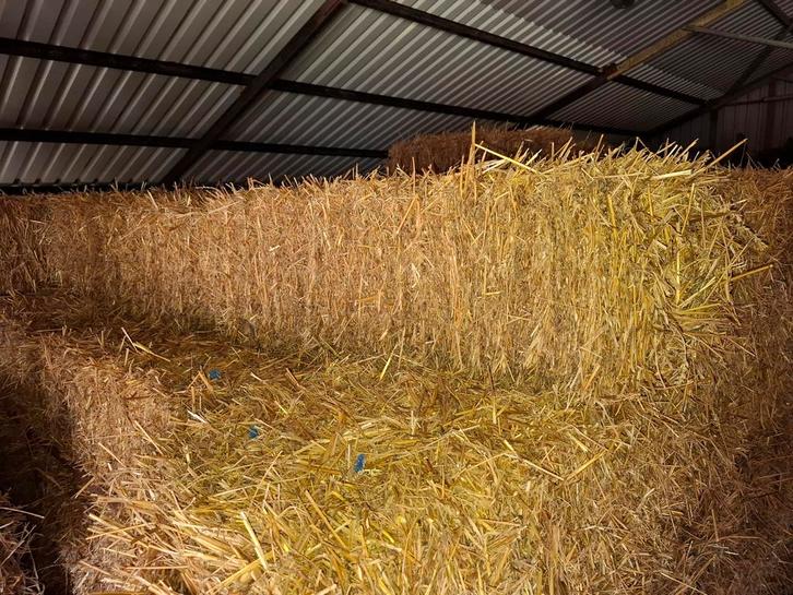 Strobalen te koop, Dieren en Toebehoren, Dierenvoeding, Ophalen of Verzenden