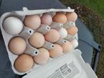 Eieren te koop, Diversen, Levensmiddelen, Ophalen