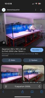 Gezocht groot aquarium 2000L +, Dieren en Toebehoren, Vissen | Aquaria en Toebehoren, Ophalen of Verzenden, Zo goed als nieuw