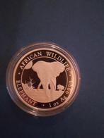 Somalische olifant 2025 1 oz zilver, Postzegels en Munten, Ophalen of Verzenden, Zilver