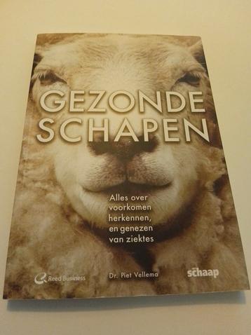 Gezonde Schapen - Dr. Piet Vellema beschikbaar voor biedingen