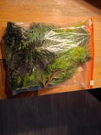 Groen voor kerststukje, Ophalen