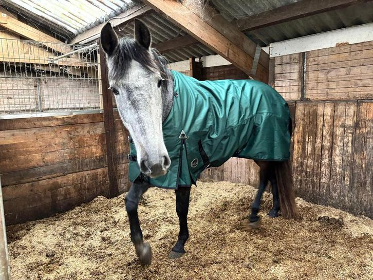 Master outdoor regendeken + onderdeken, Dieren en Toebehoren, Paarden en Pony's | Dekens en Dekjes, Gebruikt, Deken, Ophalen of Verzenden