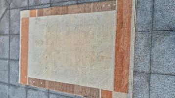Handgeknoopt Oosters vloerkleed 167 x 245 cm beschikbaar voor biedingen