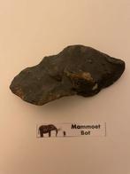 Mammoet schedel fragment, Verzamelen, Mineralen en Fossielen, Ophalen of Verzenden, Fossiel