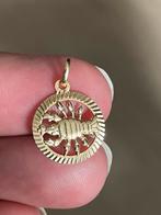 14 karaat geelgouden sterrenbeeldhanger kreeft, Ophalen of Verzenden, Goud, Overige voorstellingen