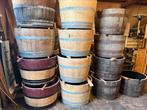 Bloembak houten half wijnvat whiskyvat palmboom vijgenboom, Tuin, Gerard Krale, Rond, Nieuw