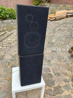 Schneider luidsprekers, Audio, Tv en Foto, Luidsprekers, Overige merken, Gebruikt, Ophalen of Verzenden, Minder dan 60 watt