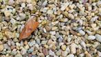 Gratis grind - fijne stenen in verschillende kleuren, Overige materialen, Grind, Gebruikt, Ophalen