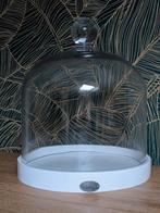 ❗NIEUW Riverdale glazen stolp met wit houten onderblad, 24cm, Ophalen, Nieuw