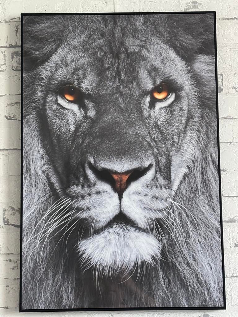 Indrukwekkende Leeuwenkop Poster met Oranje Ogen, Minder dan 50 cm, 50 tot 75 cm, Ophalen of Verzenden, Zo goed als nieuw