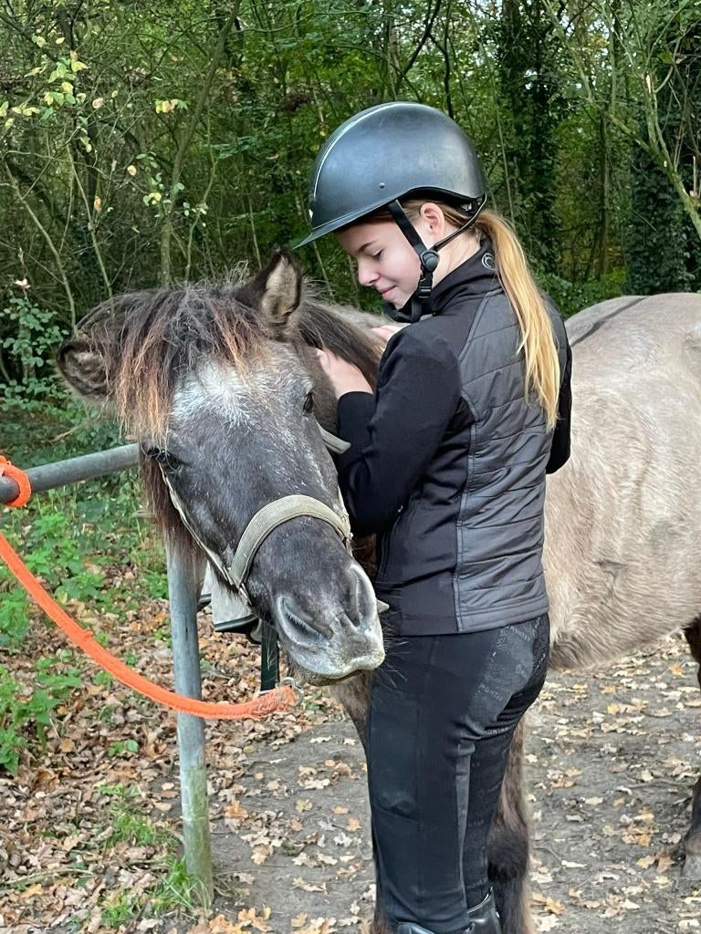 BIJRIJDPONY GEZOCHT!, Dieren en Toebehoren, Ophalen of Verzenden