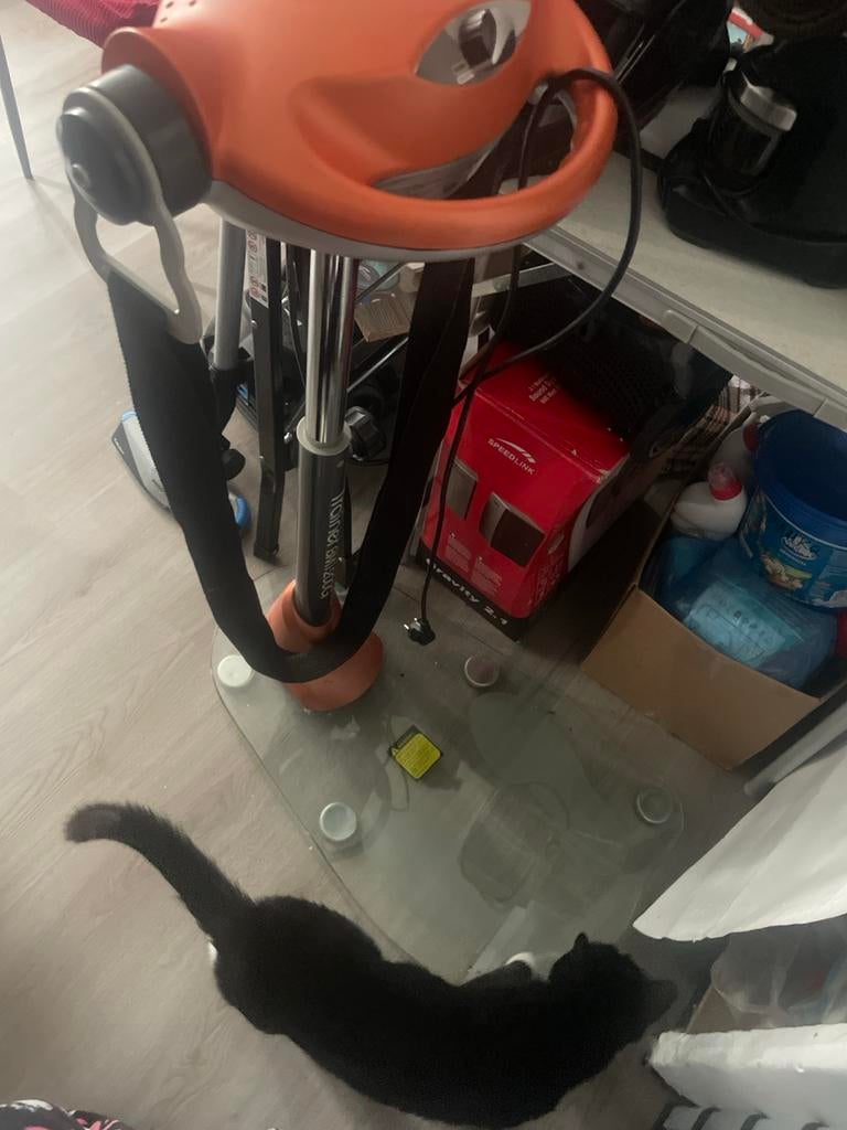 Body Sculpture trilplaat, Ophalen of Verzenden, Gebruikt, Overige typen