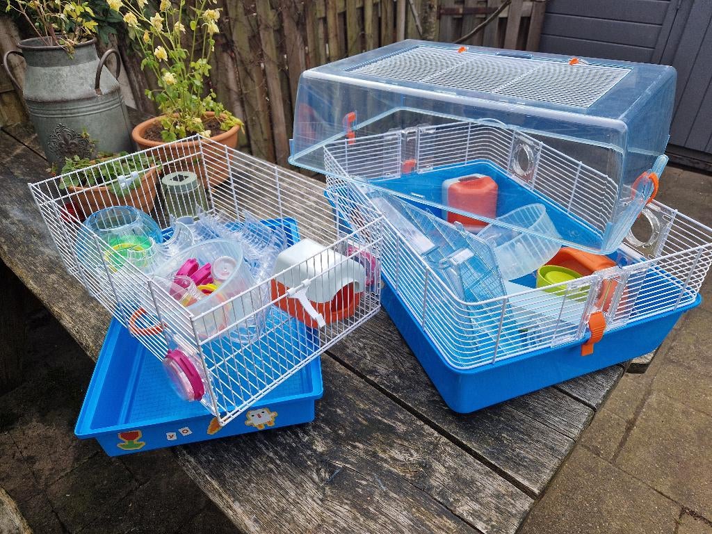 Twee hamsterhokken met toebehoren, Kooi, Gebruikt, Minder dan 75 cm, Muis