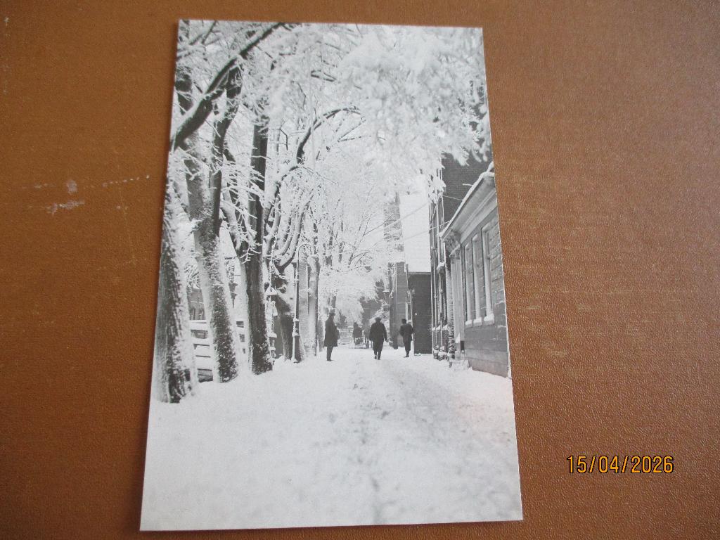 Koog a.d. Zaan, Ophalen of Verzenden, Voor 1920, Ongelopen, Noord-Holland