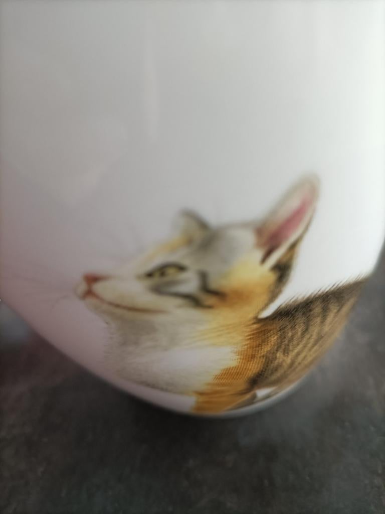 Kattenbekers van Francien, Dieren en Toebehoren, Vogels | Kanaries, Mannelijk