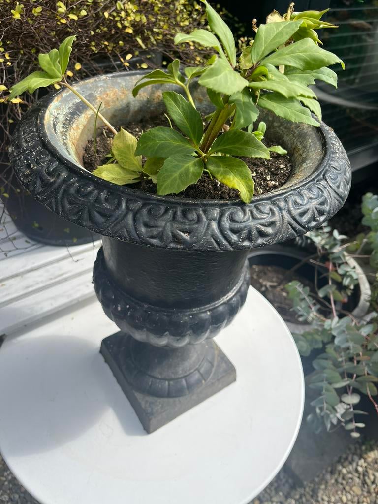 Gietijzer brocante pot voor binnen of buiten, Tuin en Terras, Tuinvazen, Ophalen, Gebruikt