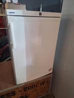 Nette jonge Liebherr vrieskast. No frost., Minder dan 60 cm, Zo goed als nieuw, Energieklasse A of zuiniger, Vrijstaand