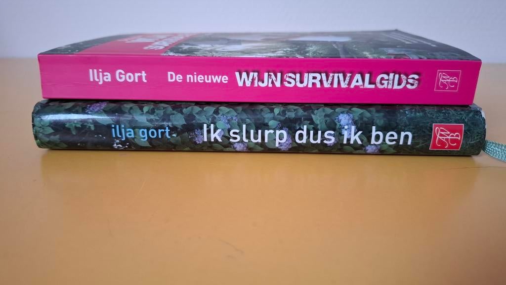 2 boeken van Ilja Gort, Ophalen of Verzenden, Zo goed als nieuw, Overige onderwerpen, Ilja Gort