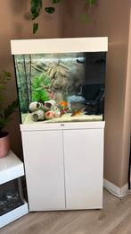 Juwel Aquarium 120 liter wit, Ophalen, Zo goed als nieuw, Plant(en), Steen of Hout
