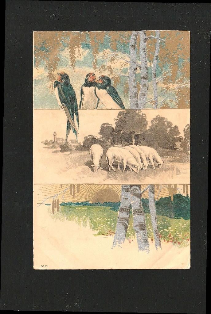 Ansicht kudde schapen  zwaluwen D11-15, Ophalen of Verzenden, Voor 1920, Ongelopen