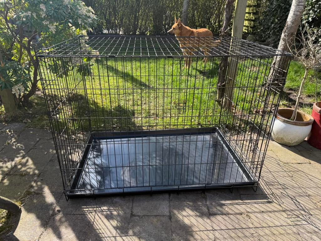 Hondenbench, Ophalen, Gebruikt, 65 tot 100 cm, Hondenhok