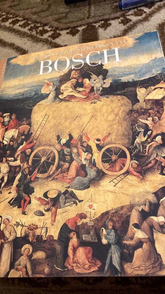 Bosch (Jeroen Bosch), Boeken, Ophalen of Verzenden, Zo goed als nieuw