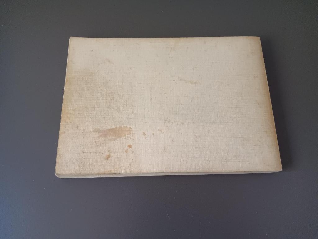 Bergen op Zoom in oude ansichten, Boeken, Geschiedenis | Stad en Regio, Ophalen of Verzenden, Gelezen