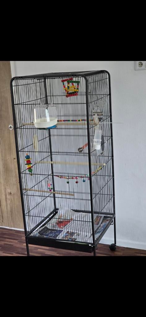 Grote vogelkooi, Dieren en Toebehoren, Ophalen, Gebruikt, Metaal, Vogelkooi