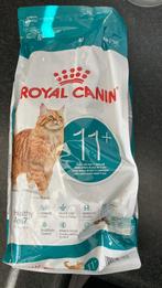 Royal canin 11+ 2kg, Ophalen, Kat