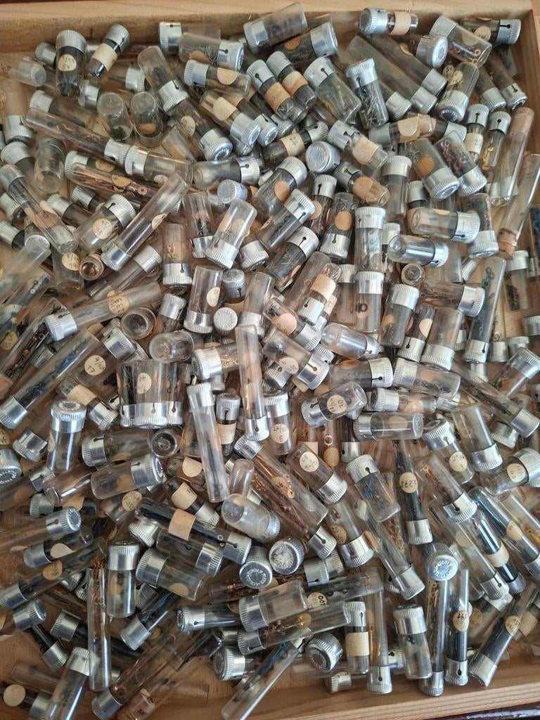 Grote partij vintage horloge wijzers in glazen buisjes, Antiek en Kunst, Antiek | Klokken, Ophalen of Verzenden