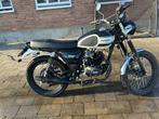 Mash 50 Scrambler - Splinternieuw, slechts 600km!, Ophalen