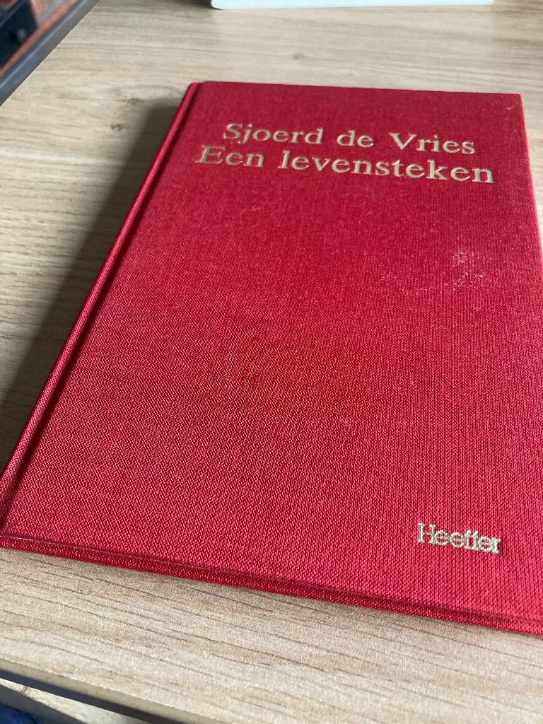 Boek Sjoerd de Vries, Ophalen of Verzenden, Gelezen