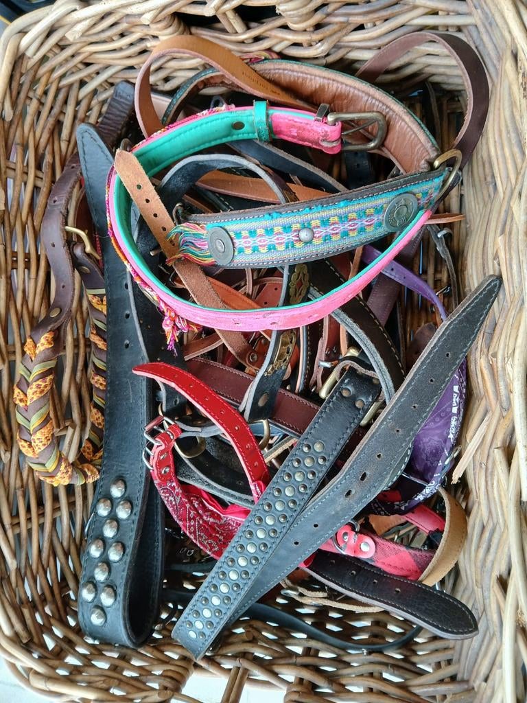 Honden halsbanden leder, Ophalen, Gebruikt