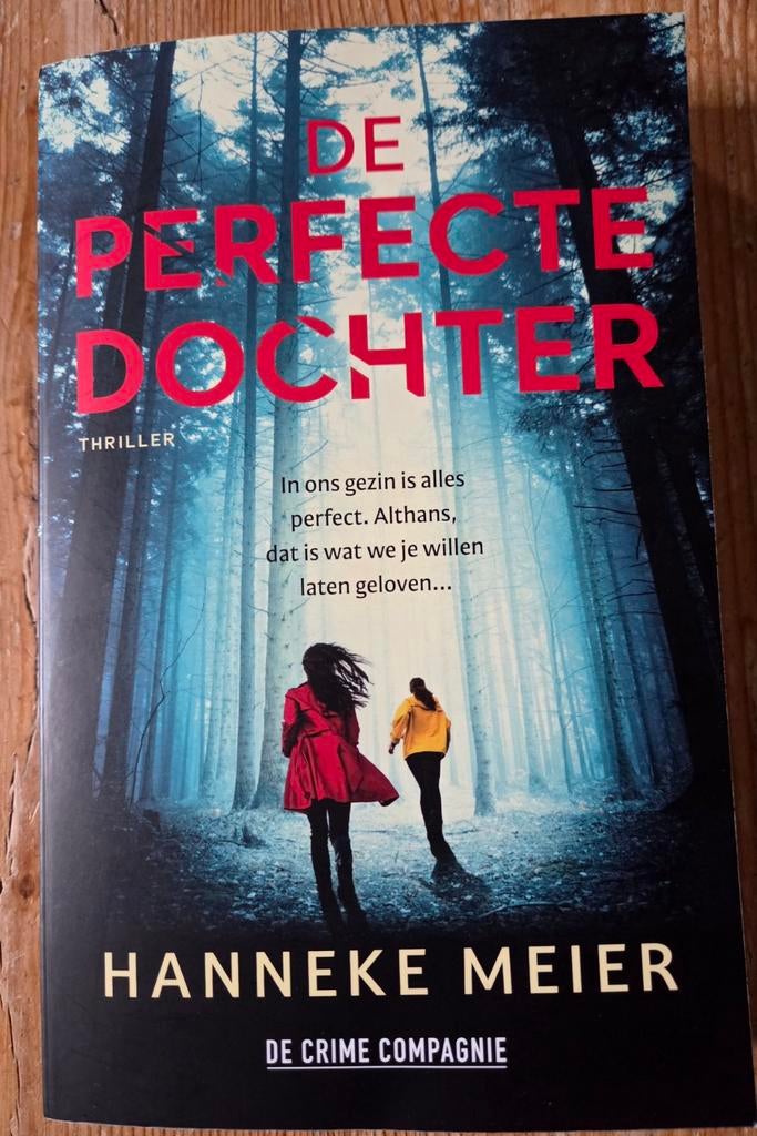 De perfecte dochter / Hanneke Meijer, Ophalen of Verzenden