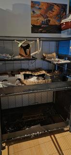 Rattenkooi Savic pets favourite, Dieren en Toebehoren, Ophalen, Kooi, Fret, 90 cm of meer