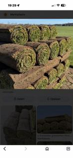 Gezocht iemand die gras kan leggen, Ophalen, Nieuw, 20 m² of meer