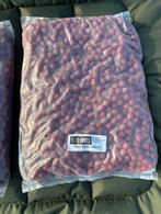 Q-Baits Boilies - Diverse Soorten en Maten, Watersport en Boten, Ophalen of Verzenden, Nieuw, Overige typen